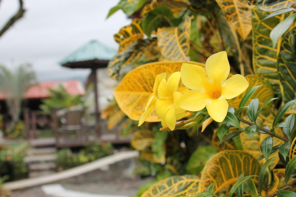 Hotel Bijagua Fortuna ภายนอก รูปภาพ